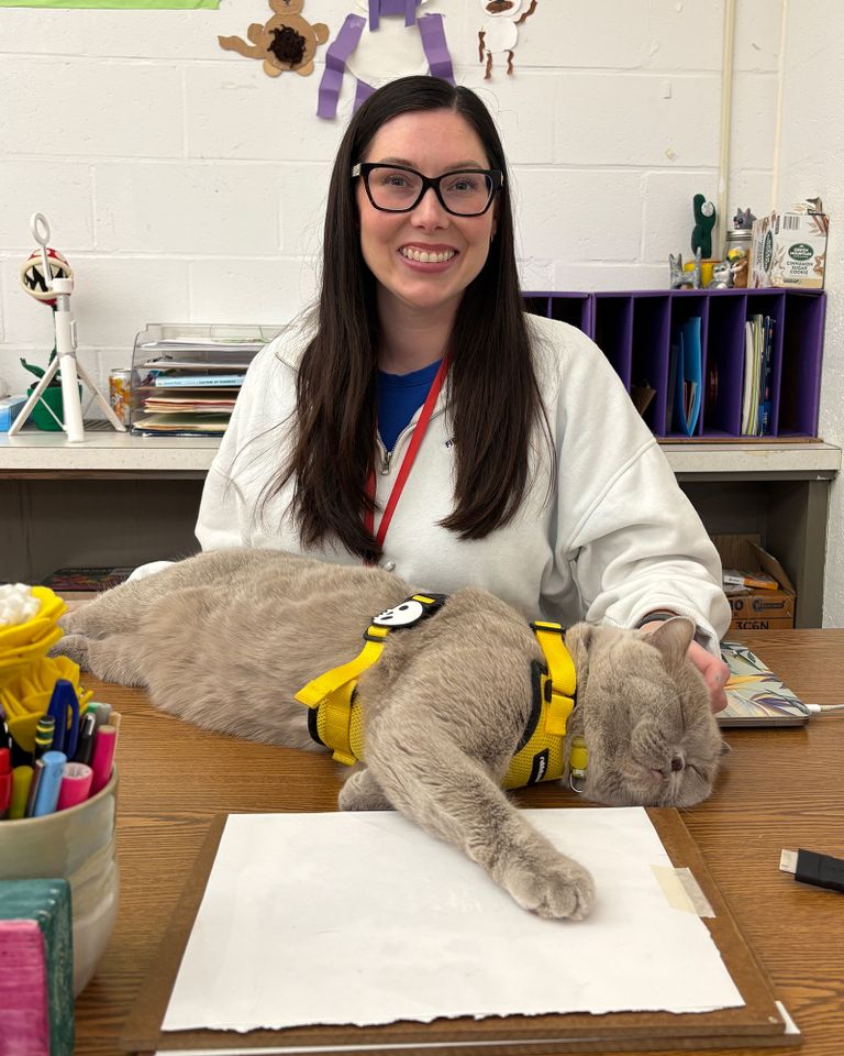 Art teacher gets cat registered as a therapy animal. Now he roams the ...