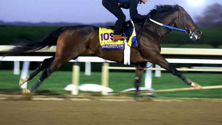 Magnitude ready to shake up Breeders' Cup Classic