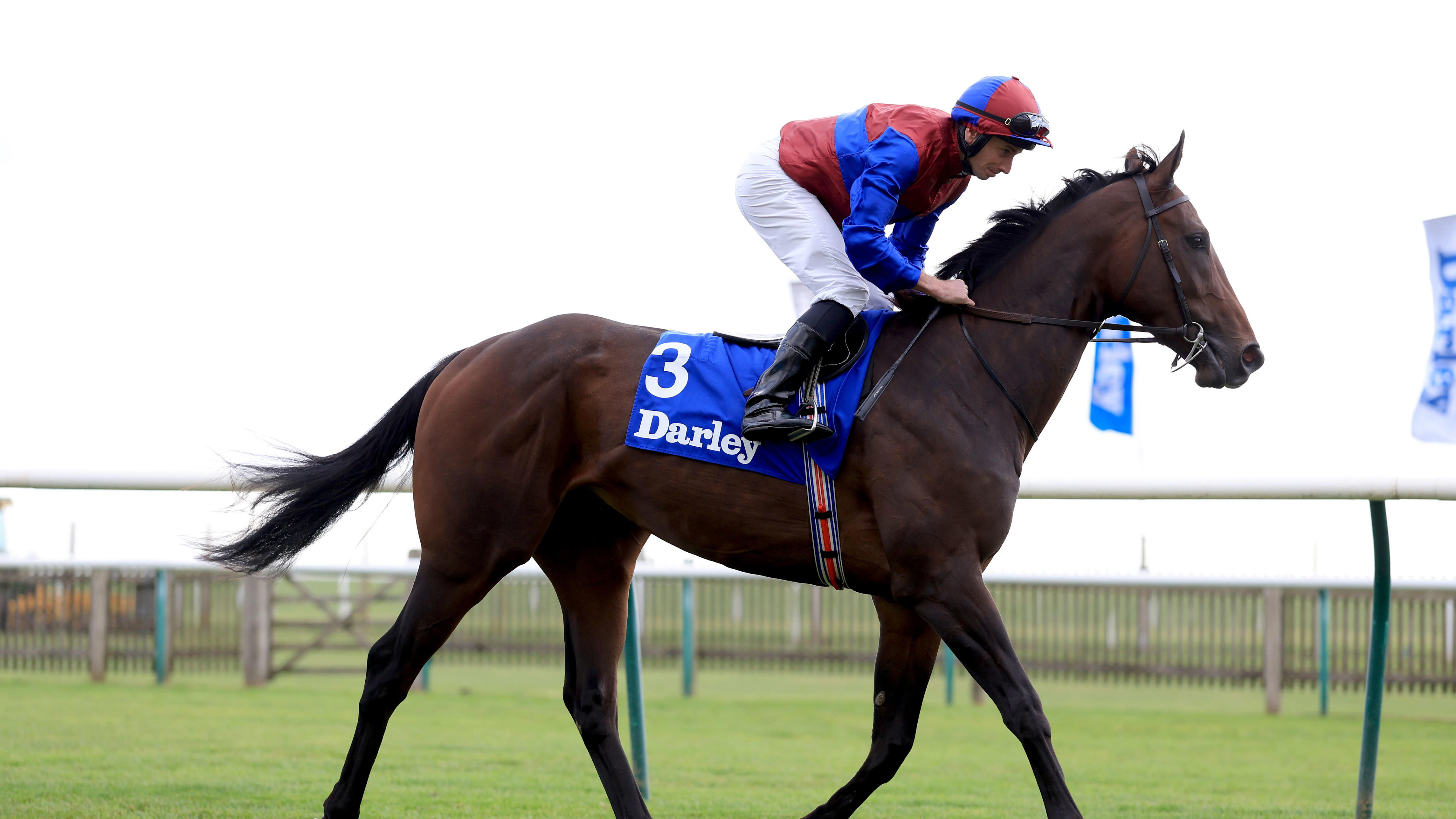 Drumbeat adds to O’Brien’s two-year-old roll of honour