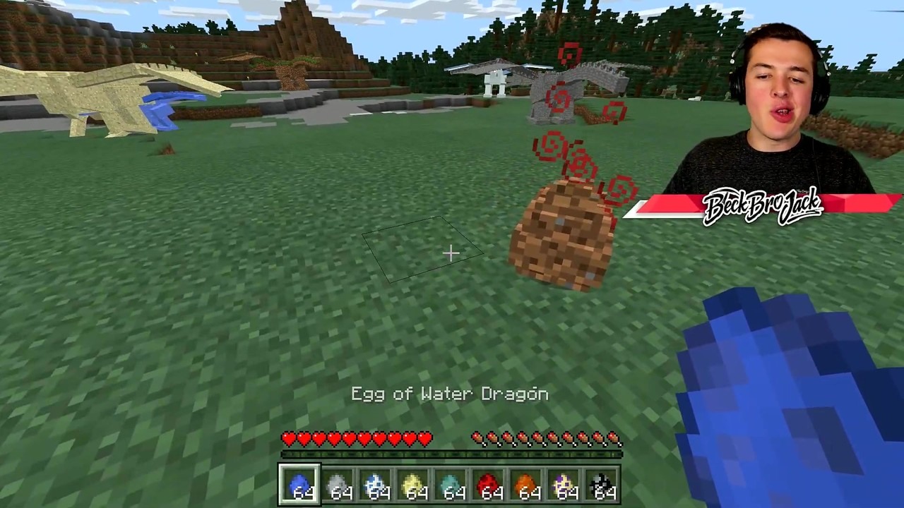 BeckBroJack hatches and rides the Ender Dragon in Minecraft