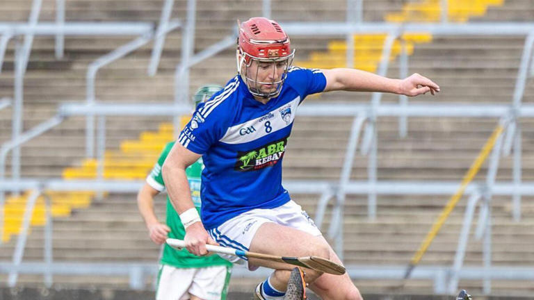 Dromin Athlacca survive late Bruff flurry to return to Limerick top flight
