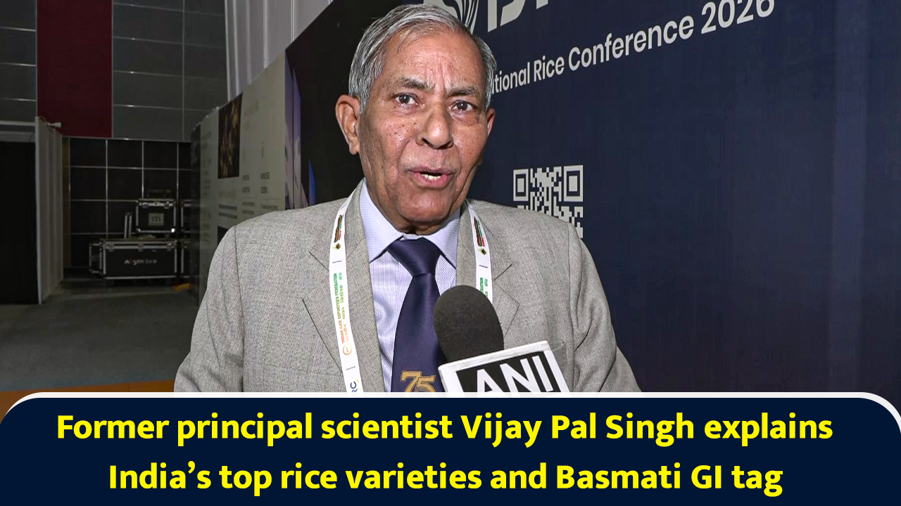 Former principal scientist Vijay Pal Singh explains India’s top rice ...