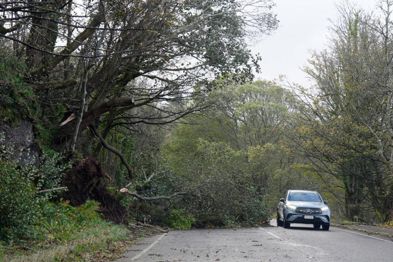Man in 60s killed by falling tree as Storm Boelo turns deadly