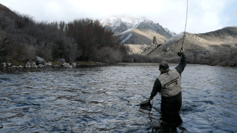 Low water and fewer anglers draw attention to Idaho’s overlooked winter ...