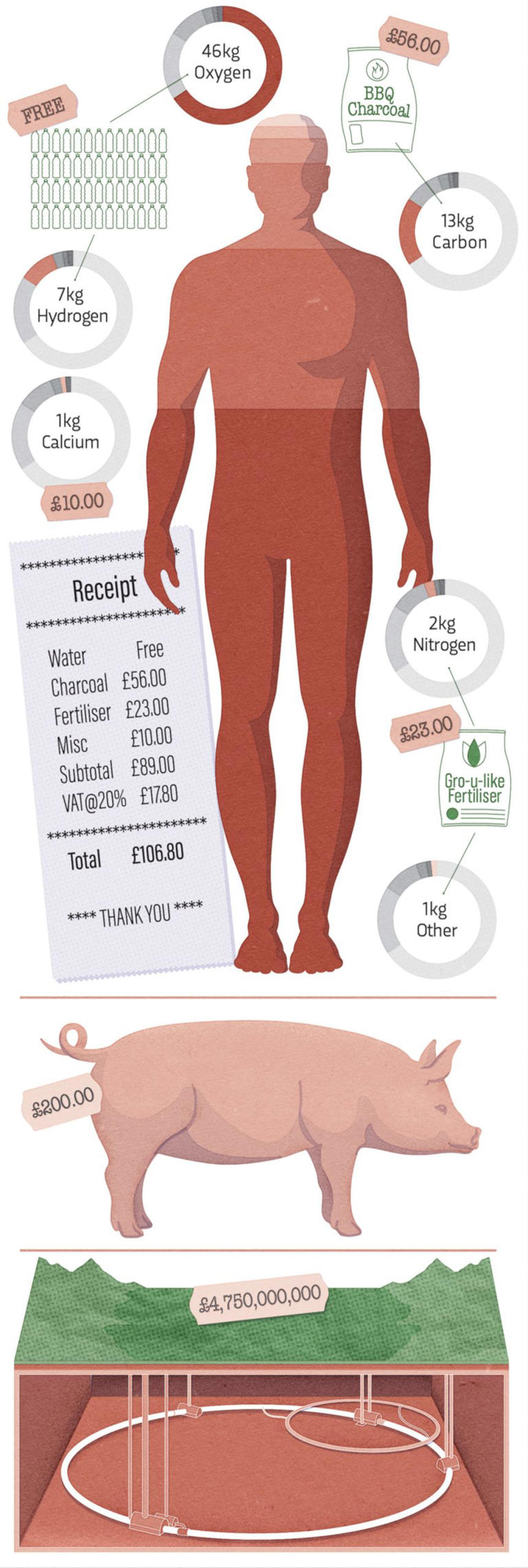 Experts worked out what it would cost to build a human and the answer ...
