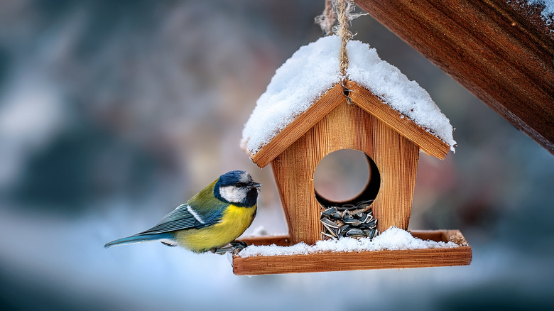 Turn wood pallets into a rustic bird feeder for your backyard