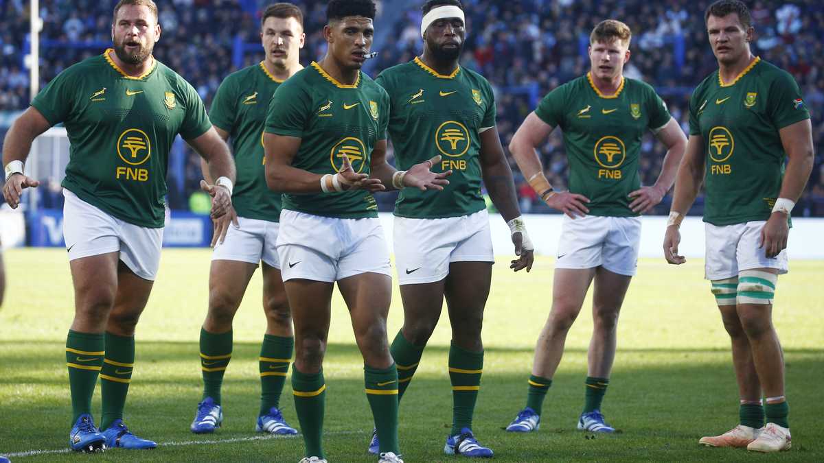 Butch James backs Springboks' Sacha Feinberg-Mngomezulu but highlights ...