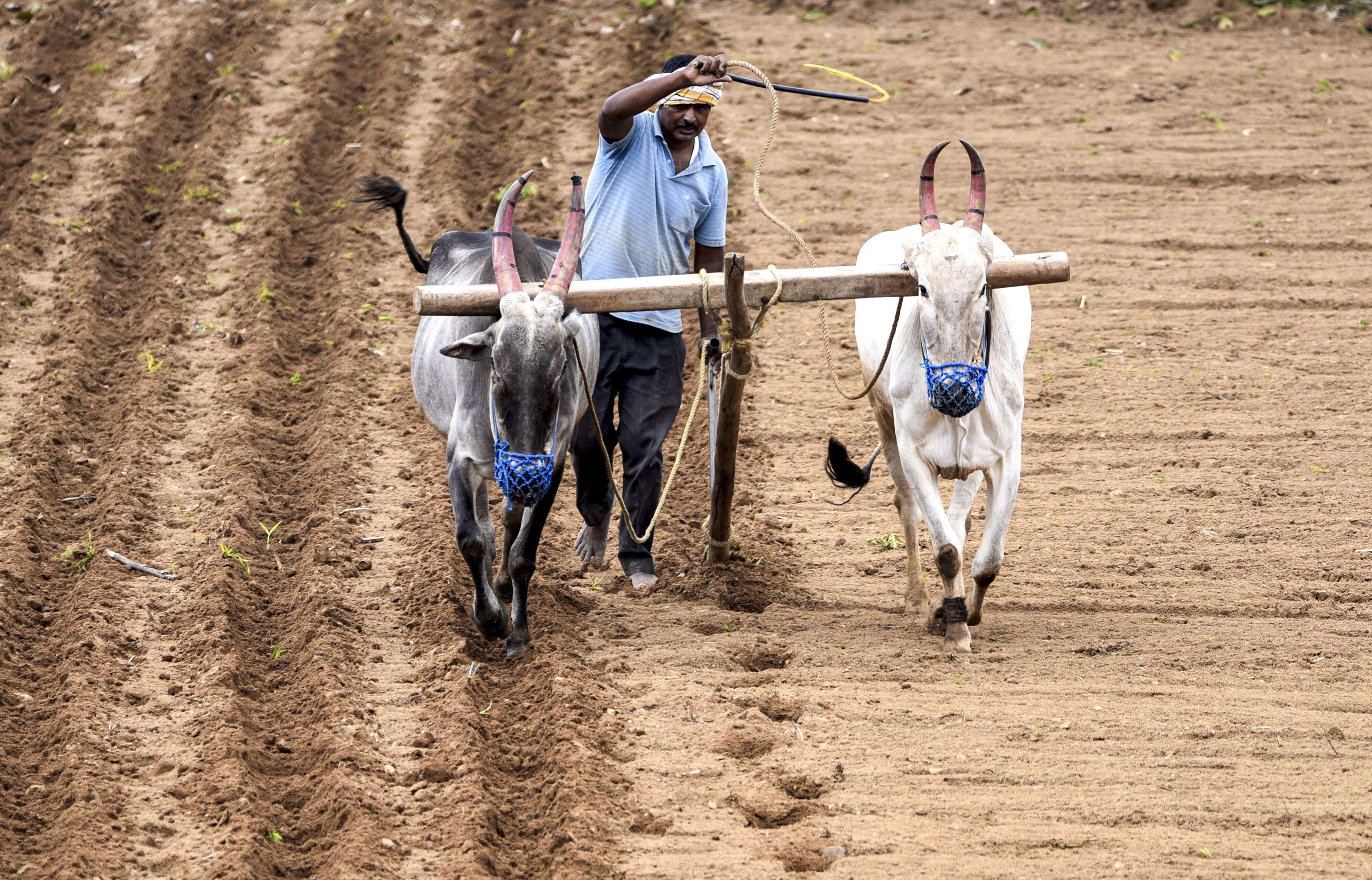 Amid concerns over water and power supply, state may discourage summer ...