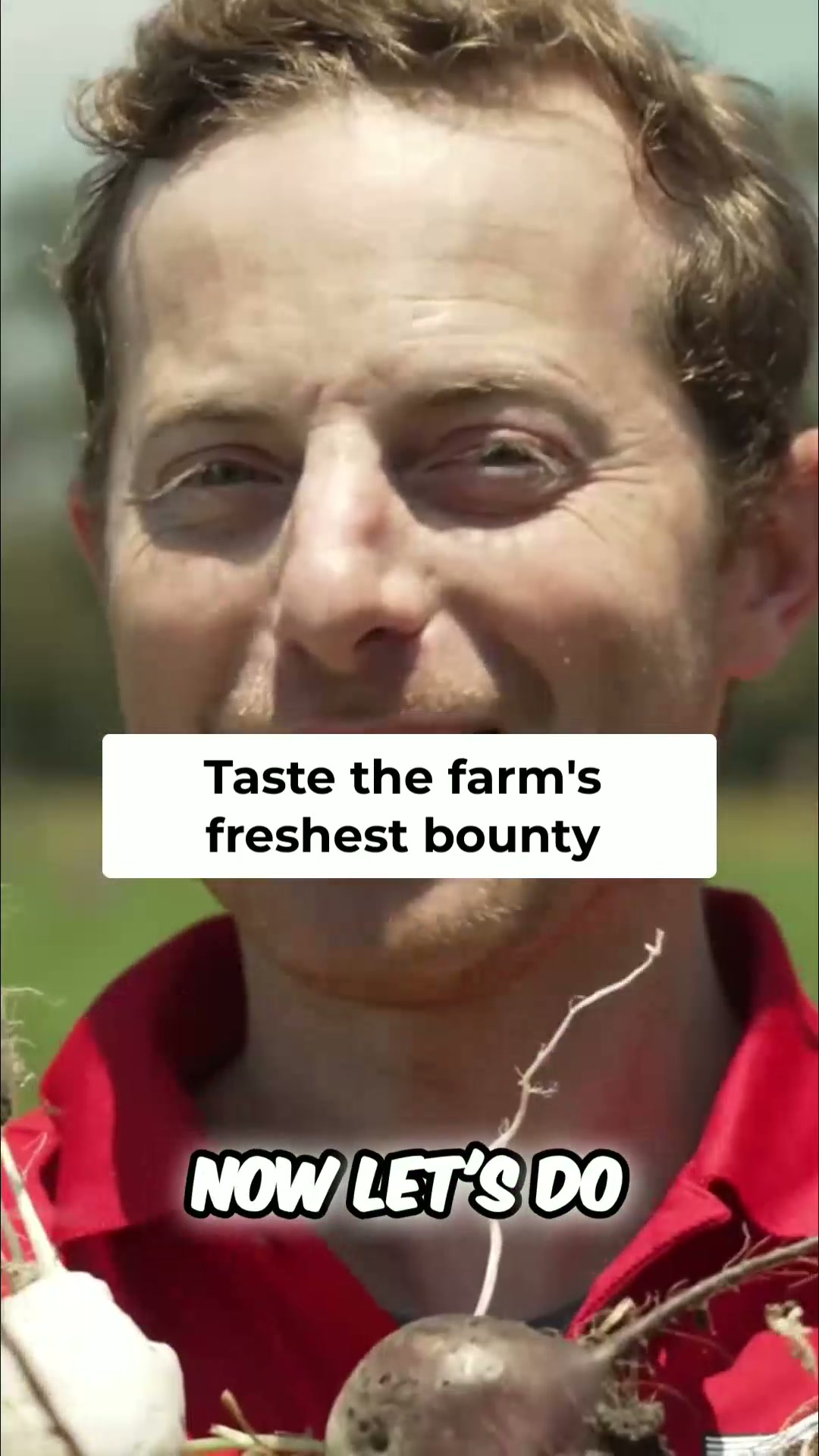 Farm to table