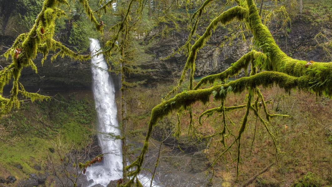 Walk behind waterfalls at Silver Falls