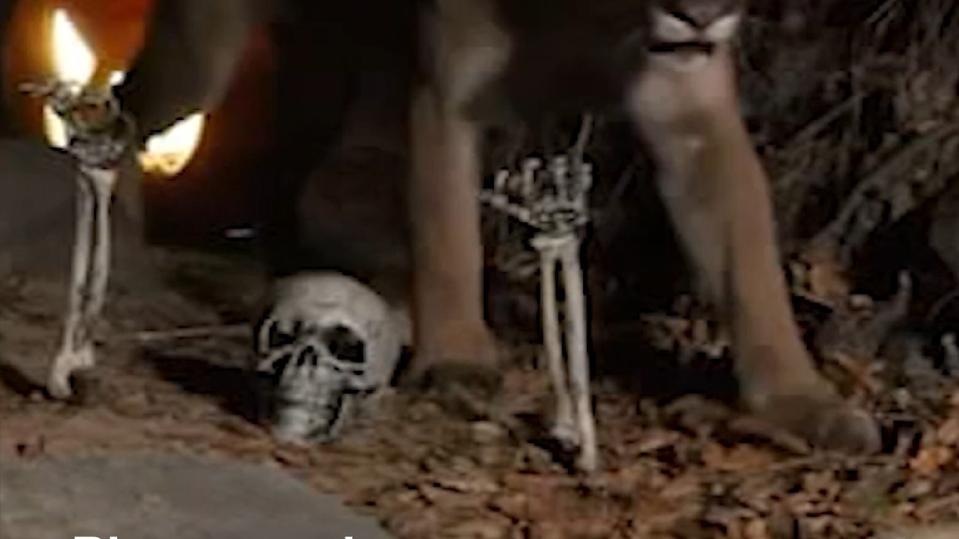 Wildlife photographer captures Halloween-themed scenes in California ...
