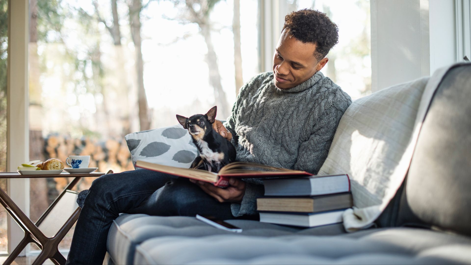 The best dogs for introverts
