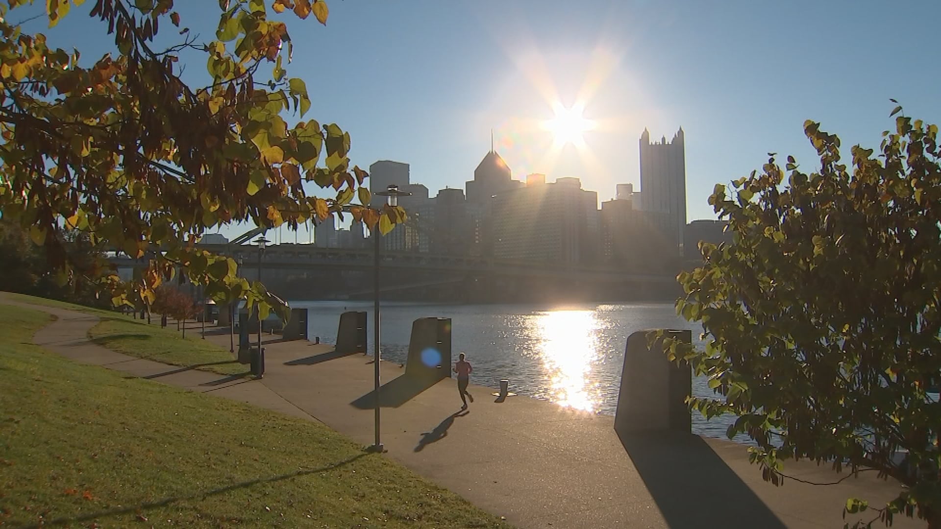 Pittsburgh councilperson looks to reestablish Side Yard Sale Program