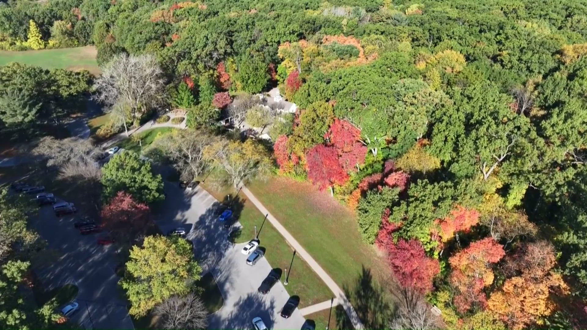 Metroparks naturalists expect vibrant fall colors into early November
