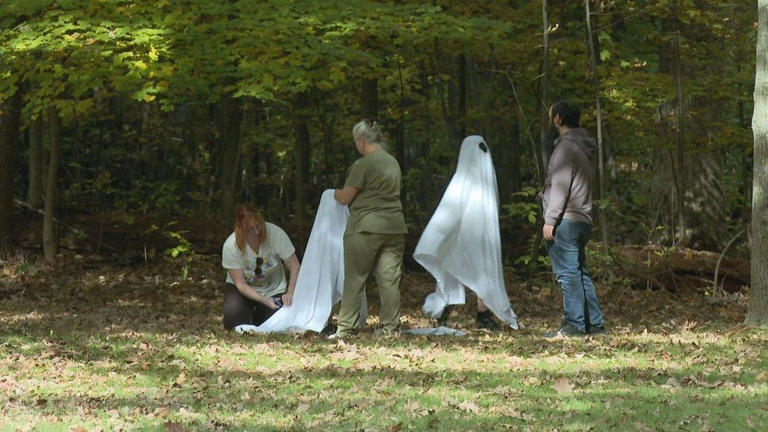 Fall colors draw hikers to Rum Village as crisp weather signals season ...