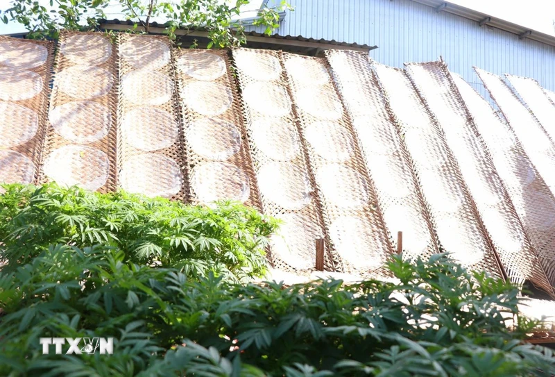 Tự hào bánh tráng Thuận Hưng: Làng nghề trăm tuổi bồi đắp những giá trị văn hóa