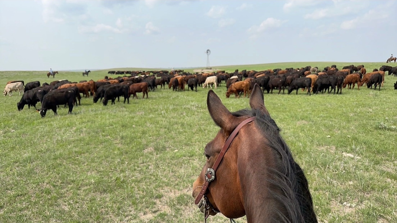 Texas billionaires buy 40,000-acre Nebraska ranch for $56 million ...