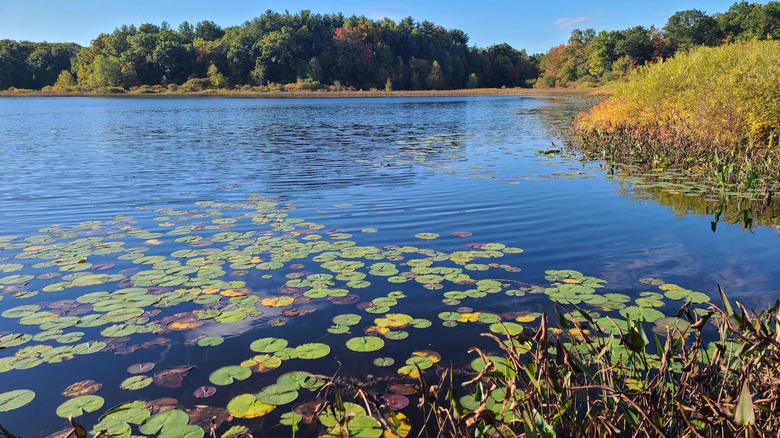 Halfway between Detroit and Lansing is a Michigan park with scenic ...