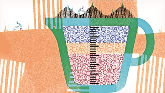 We need to address the issue of soil health. Four steps can improve the ...