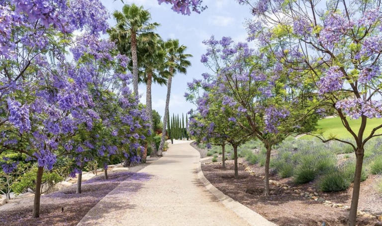 This $8 million Rancho Santa Fe estate features a secret botanical ...