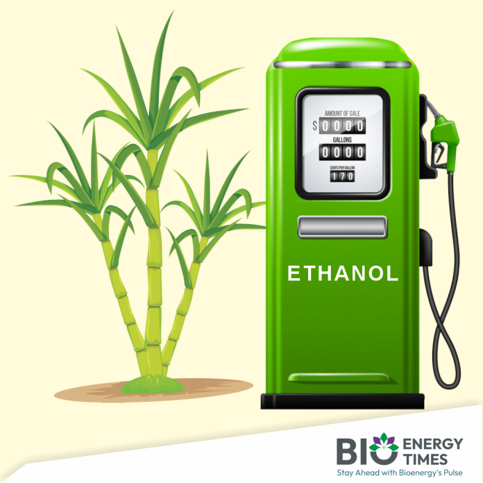 OMC ethanol tender raises questions over maize’s future as industrial ...