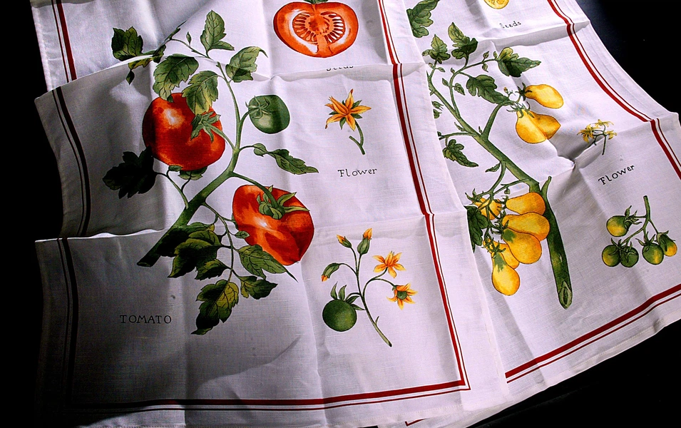 Find your perfect kitchen towel match