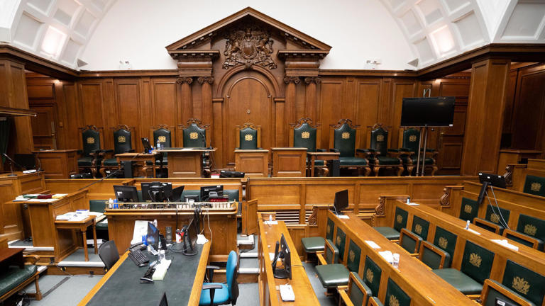 More domestic abuse courts needed, says MP