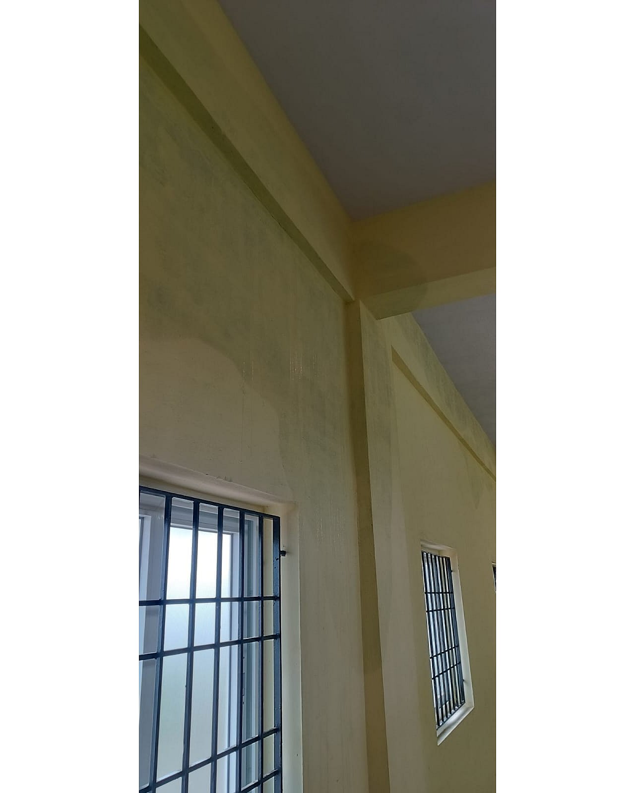 Days after inauguration, walls of GCC school get damp, leaky