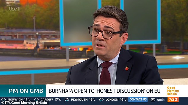 Burnham signals plans to take Britain back into EU at next election