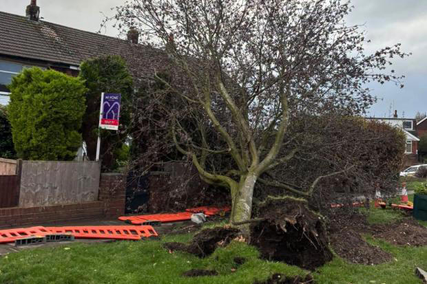 Fallen trees in wake of Storm Boelo continue to cause issues on ...