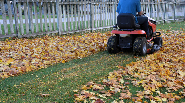Don't rake the yard this fall: This other tool takes care of leaves ...