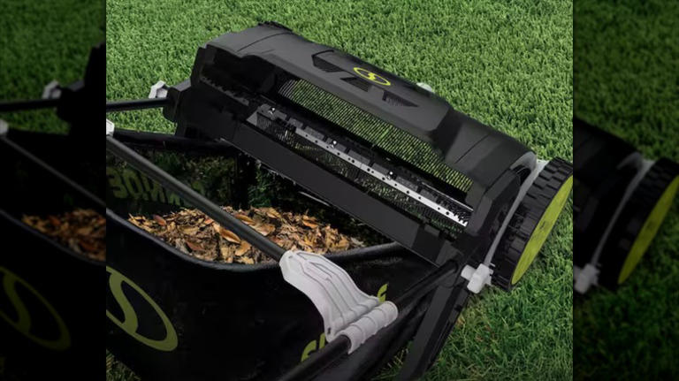 Make cleaning up your lawn a breeze with a helpful solution from Home Depot