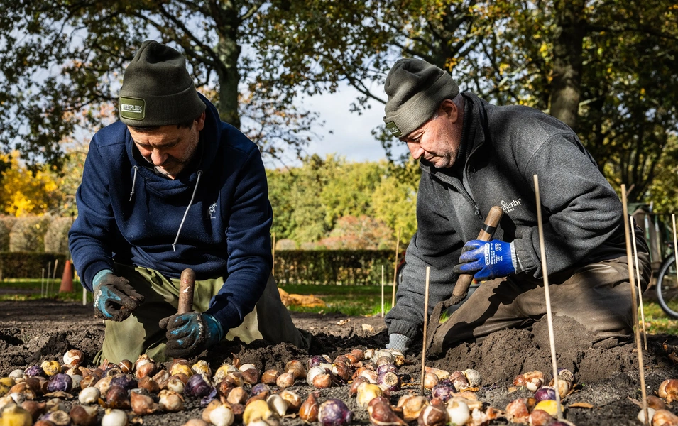 Your ultimate guide to spring bulb magic