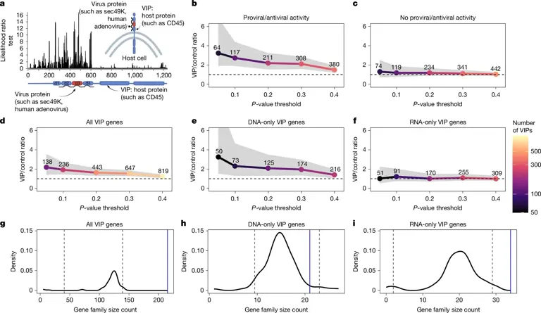 The secret to living longer may be hidden in bat DNA