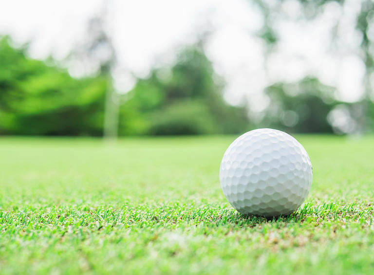 A golf ball with dimples flies roughly twice as far as a smooth one and ...