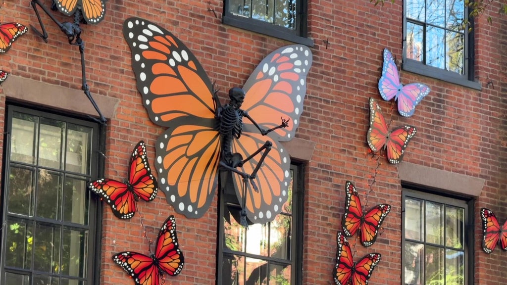 Butterfly House among this year's iconic Boston Halloween decorations