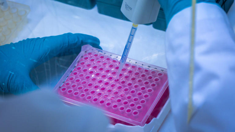 Scientists administer first AI-designed virus to human patient as ...
