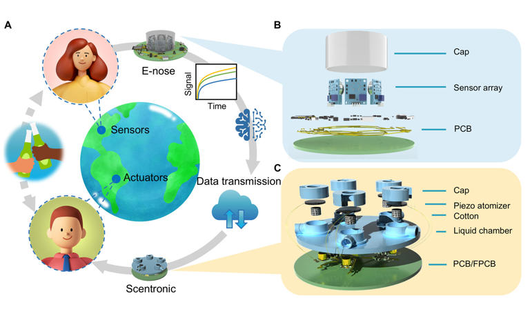 Scientists have figured out how to send smells over the internet, and ...