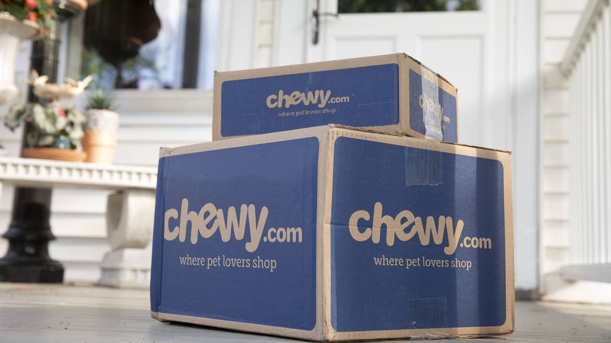Chewy’s extra-wide heated cat house gives outdoor kitties room to ...