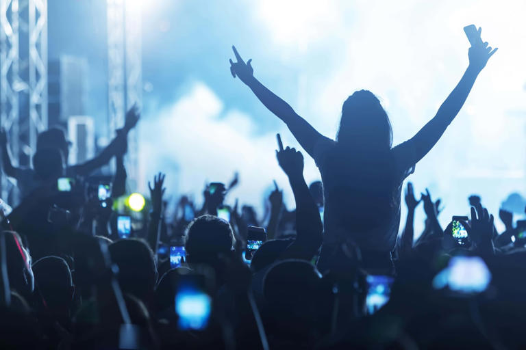 Arctic Numpties to Daft Funk: Fans priced out of concerts turn to ...