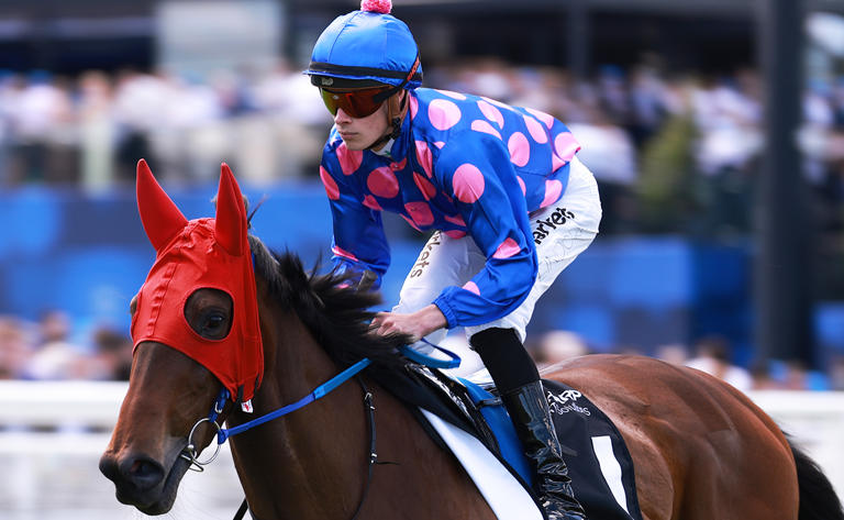 Jockey hit with 10-meeting suspension over separate incident involving ...