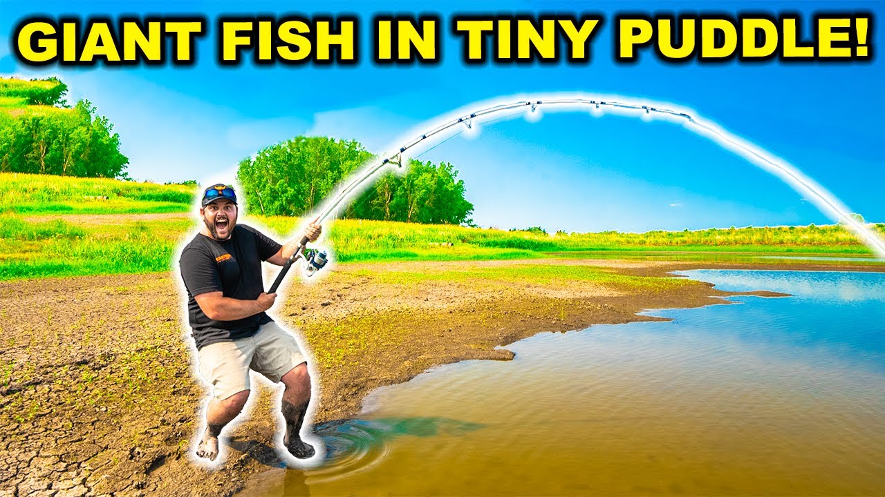 Catching huge fish in a tiny puddle