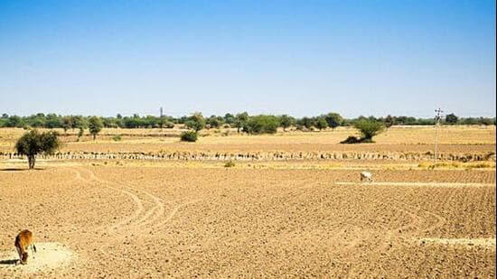 Rajasthan: 80 tehsils across 14 districts declared drought-hit