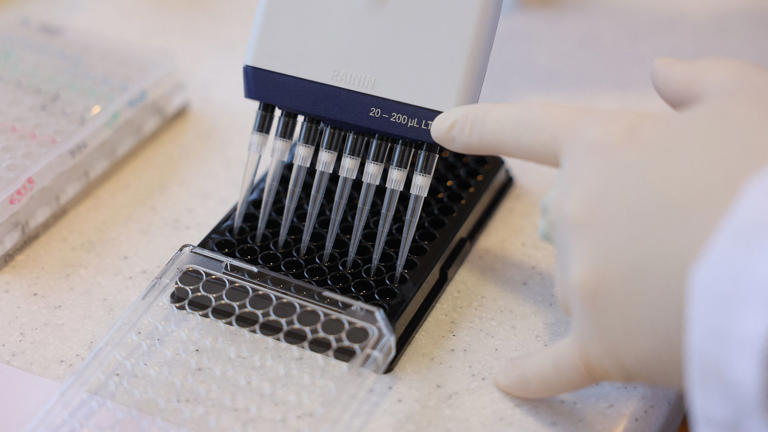 Scientists administer first AI-designed virus to human patient as ...