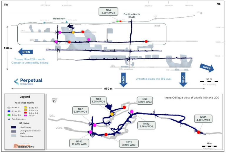 Perpetual gets a fresh look ahead of maiden drilling with 12pc tungsten ...