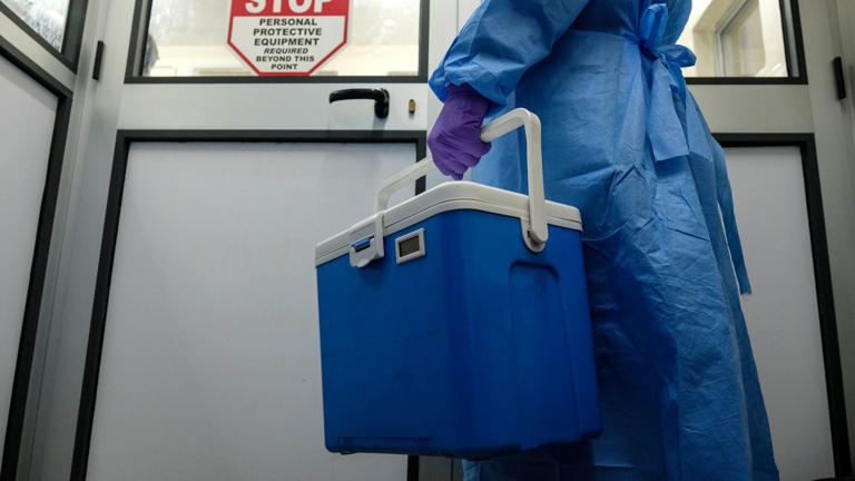 Scientists administer first AI-designed virus to human patient as ...