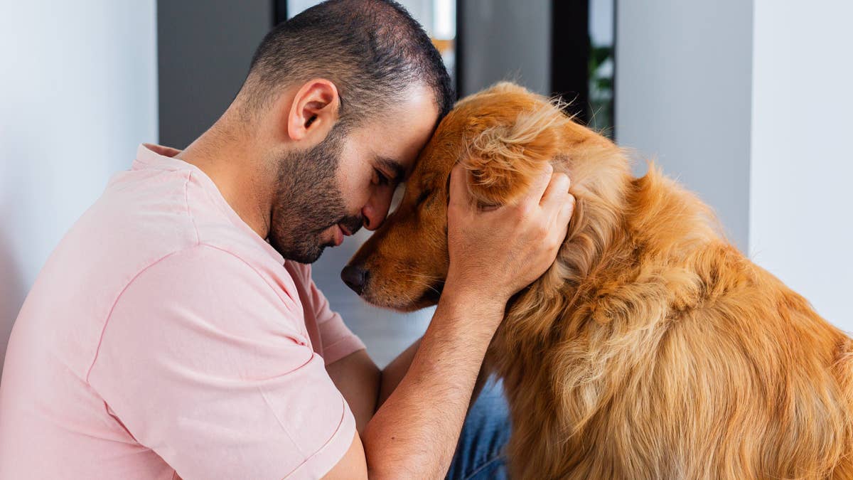 Golden retriever makes mom's boyfriend his bestie, and it's cuteness overload