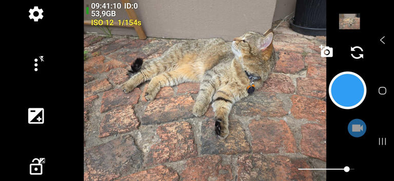 My Galaxy phone butchered my photos with AI I didn't ask for, so I ...