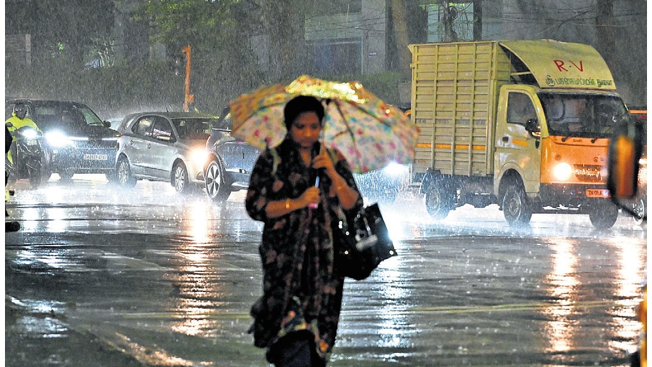 Chennai residents warned of dengue and rat fever, advised to drink ...