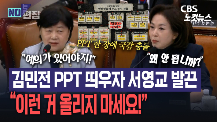 김민전 